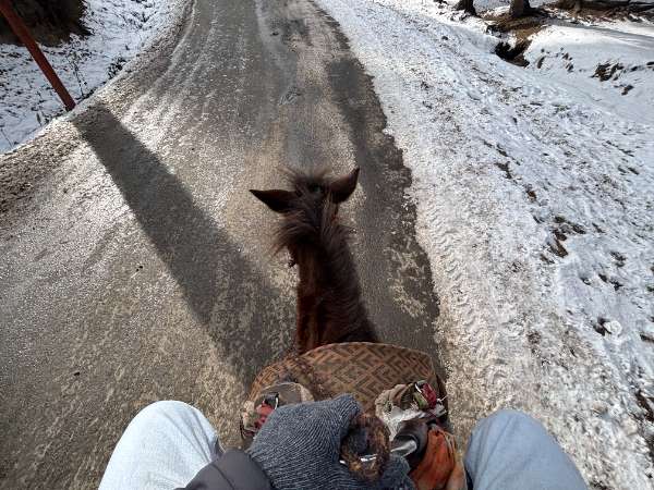 Kashmir Trip Photo 26