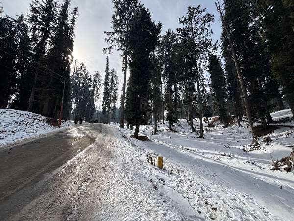 Kashmir Trip Photo 27