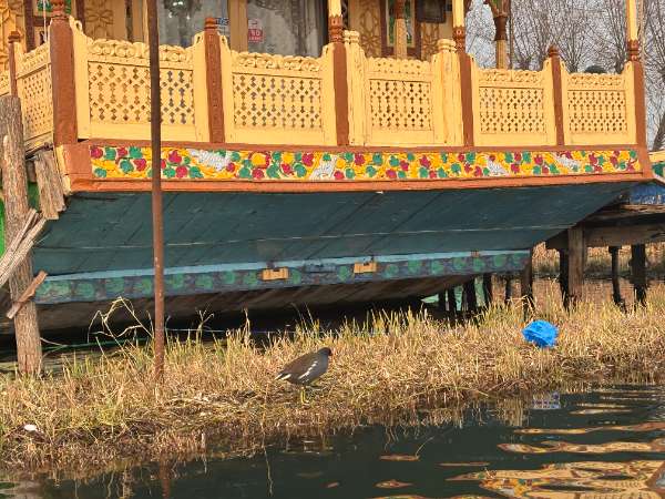 Kashmir Trip Photo 60