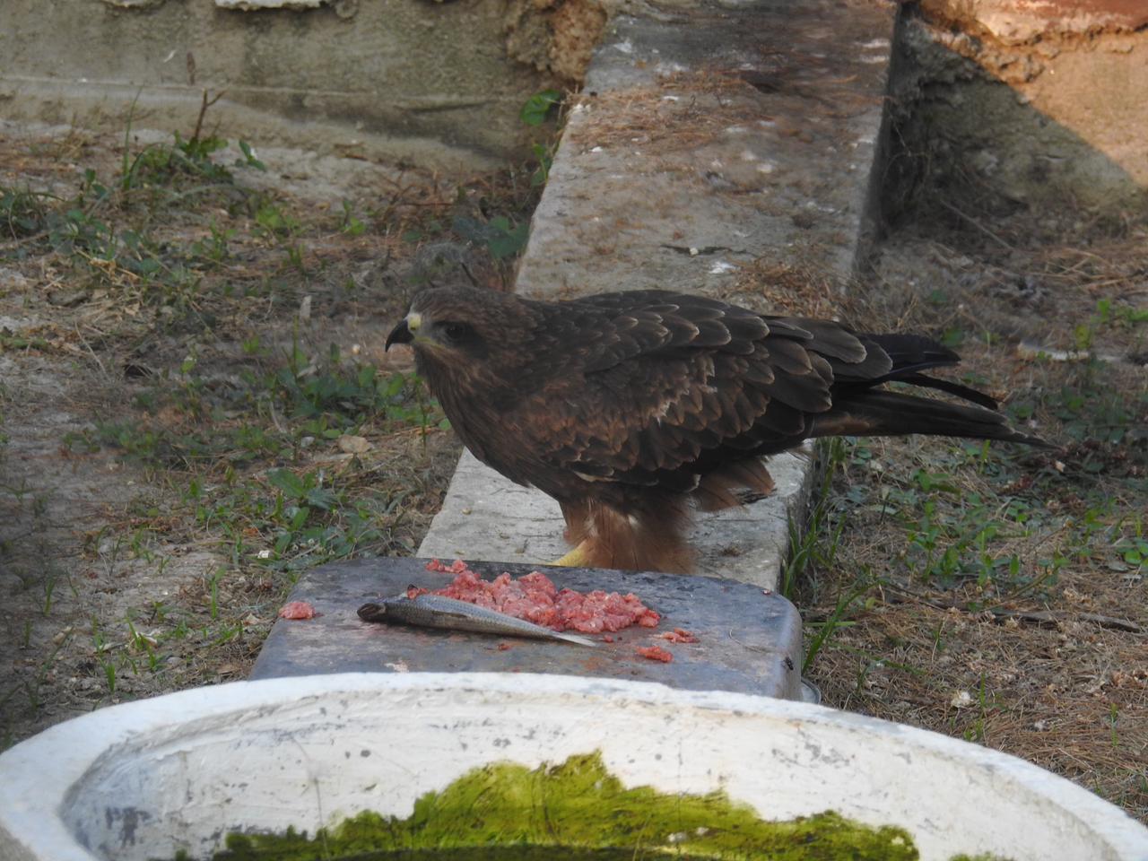Group Tour Sundarban